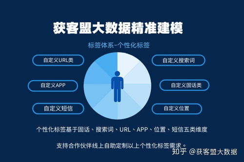 運(yùn)營(yíng)商大數(shù)據(jù)驅(qū)動(dòng)的精細(xì)化微營(yíng)銷服務(wù)體系軟件開發(fā)