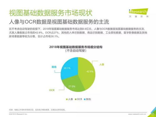 中國(guó)人工智能基礎(chǔ)數(shù)據(jù)服務(wù)行業(yè)報(bào)告 驅(qū)動(dòng)軟件開發(fā)的未來(lái)引擎